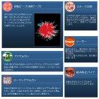 他の写真1: ハヤブサ 誘撃カレイ 鮮艶エッグボール SE750 3本鈎1セット 15号 (ハリス 6号) 【10点セット】