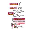 他の写真1: ハヤブサ ジギングサビキ 根魚用 SS471 2本鈎2セット 3L (ハリス 55lbs) 【10点セット】
