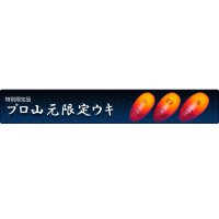 山元工房 プロ山元 限定ウキ オレンジ