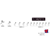 ≪パーツ≫ 富士工業 TORZITE(トルザイト)ガイドセット 船小物 T-RVTG613 【代引不可/返品不可】