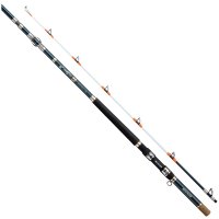 ≪'18年10月新商品！≫ アルファタックル（alpha tackle） 輝 テリハチメ 270 〔仕舞寸法 181cm〕 【大型商品1/代引不可】