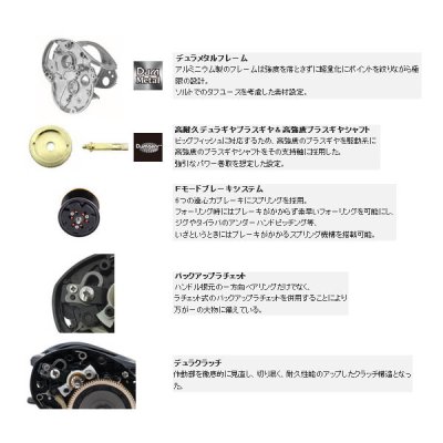 画像3: ≪'19年3月新商品！≫ アブガルシア ソルティステージ コンセプトフリー-L 【小型商品】