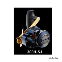 ≪'21年5月新商品！≫ ダイワ ソルティガ IC 300H-SJ(右) 【小型商品】