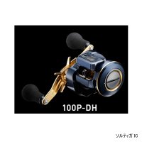 ≪'21年5月新商品！≫ ダイワ ソルティガ IC 100P-DH(右)  【小型商品】