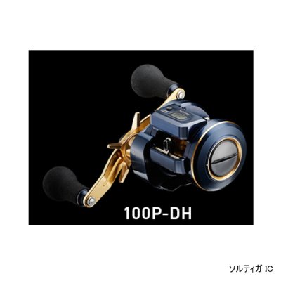 画像1: ≪'21年5月新商品！≫ ダイワ ソルティガ IC 100P-DH(右)  【小型商品】