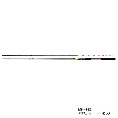 画像1: ≪'21年10月新商品！≫ ダイワ アナリスターライトヒラメ M-225 〔仕舞寸法 117cm〕 【保証書付き】