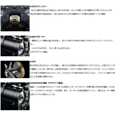 画像2: ≪'23年3月新商品！≫ ダイワ レオブリッツ 300J-L(左)【小型商品】