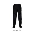 ≪'23年5月新商品！≫ ダイワ ゴアテックス(R) フォグラーパンツ DR-1423P ブラック Mサイズ
