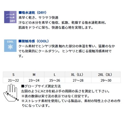 画像3: ≪'23年4月新商品！≫ ダイワ アイスドライ(R) パッド付きグローブ 3本カット DG-2023 ボトムホワイト Lサイズ