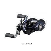 ≪'23年9月新商品！≫ ダイワ ソルティスト SV TW 80XH(右) PE スペシャル 【小型商品】