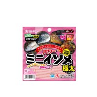 マルキュー パワーミニイソメ (極太) 桜イソメ(夜光) (1箱ケース・10袋入)