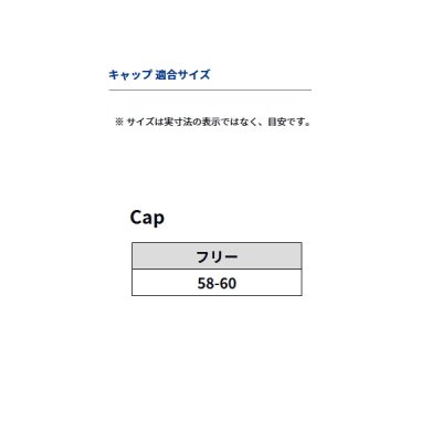 画像3: ≪'24年4月新商品！≫ ダイワ レインマックス(R)ロゴキャップ DC-3224 ブラック フリーサイズ