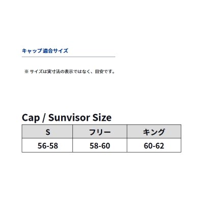 画像3: ≪'24年4月新商品！≫ ダイワ ゴアテックス ハット DC-1724 アッシュブルー フリーサイズ