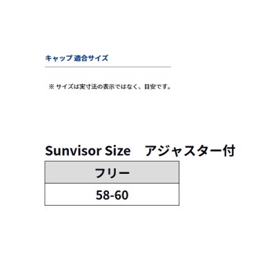 画像3: ≪'24年4月新商品！≫ ダイワ デザインメッシュサンバイザー DC-7124 ホワイト フリーサイズ