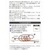 画像5: ≪'20年10月新商品！≫ 山元工房 プロ山元ウキ W合金18 アンダーロック R(レギュラータイプ) レモン G2 (5)
