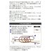 画像5: ≪'20年10月新商品！≫ 山元工房 プロ山元ウキ W合金18 アンダーロック S(Sタイプ) レモン G5 (5)
