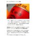画像4: ≪'20年10月新商品！≫ 山元工房 プロ山元ウキ W合金18 アンダーロック E(遠投タイプ) オレンジ G2 (4)