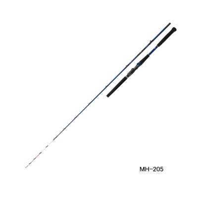画像1: ≪'24年11月新商品！≫ ダイワ 極鋭 アカムツ M-205 〔仕舞寸法 145cm〕 【保証書付き】 【大型商品1/代引不可】