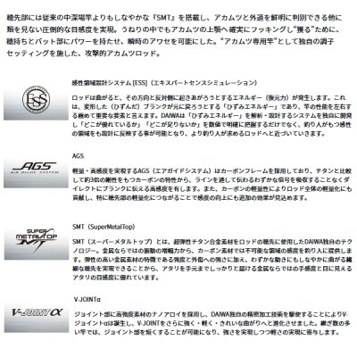 画像2: ≪'24年11月新商品！≫ ダイワ 極鋭 アカムツ M-205 〔仕舞寸法 145cm〕 【保証書付き】 【大型商品1/代引不可】