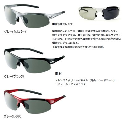 画像2: ダイワ ポリカーボネイト変色調光偏光グラス DN-4022H グレー(シルバー)