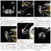 画像3: 【送料サービス】 ≪'25年5月新商品！≫ シマノ '25 ステラ SW 10000PG [5月発売予定/ご予約受付中] 【小型商品】 (3)