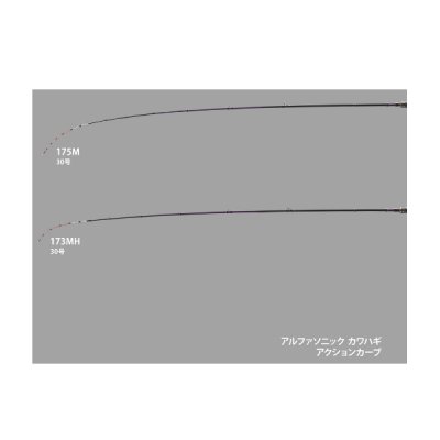 画像3: ≪'25年6月新商品！≫ アルファタックル（alpha tackle） 25 アルファソニック カワハギ 173MH 〔仕舞寸法 141cm〕 [6月発売予定/ご予約受付中] 【大型商品1/代引不可】