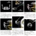 画像3: 【送料サービス】 ≪'25年7月新商品！≫ シマノ '25 ステラ SW 8000HG [7月発売予定/ご予約受付中] 【小型商品】 (3)