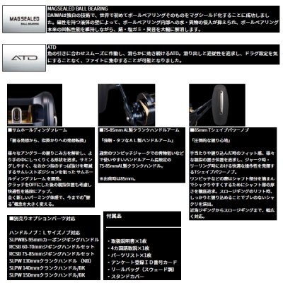 画像3: ≪'25年3月新商品！≫ ダイワ '25 ソルティガ 300HL(左) 【小型商品】