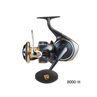 画像1: ≪'25年4月新商品！≫ ダイワ '25 ソルティガ 8000-P 【小型商品】