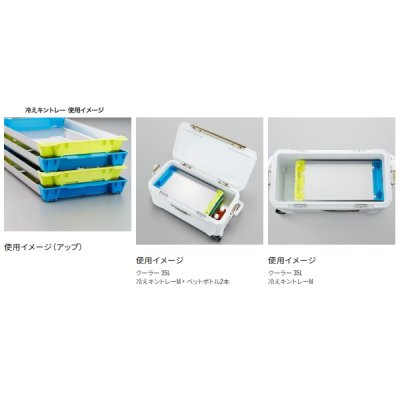 画像3: シマノ 冷えキントレー AC-C81R イエローブルー SSサイズ