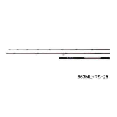 画像1: ≪'25年1月新商品！≫ ダイワ ハートランド リベラリスト 803MLRS-25 〔仕舞寸法 104cm〕 【保証書付き】