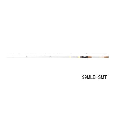 画像1: ≪'25年5月新商品！≫ ダイワ アユイング EX 99MLB-SMT 〔仕舞寸法 152cm〕 【保証書付き】【大型商品1/代引不可】
