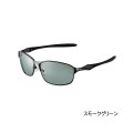 ≪'25年9月新商品！≫ がまかつ 偏光サングラス GM-1796 スモークグリーン [9月発売予定/ご予約受付中]