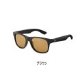 ≪'25年5月新商品！≫ ダイワ トリアセテート調光偏光グラス DN-8065H ブラウン