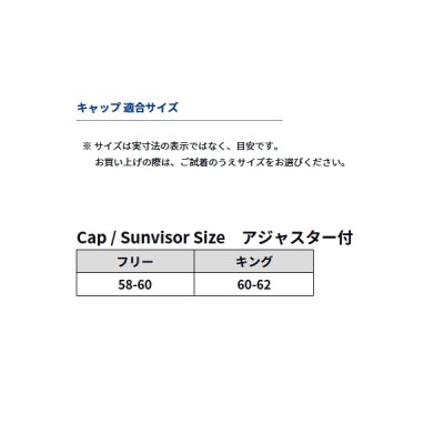 画像3: ≪'25年8月新商品！≫ ダイワ FeelAlive.(フィールアライブ)キャップ DC-9125W ガンメタル キングサイズ