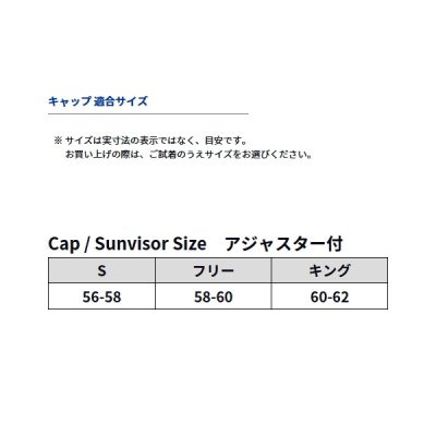 画像3: ≪'25年8月新商品！≫ ダイワ ゴアテックスハット DC-1925 ブラック フリーサイズ
