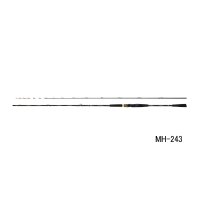 ≪'25年9月新商品！≫ ダイワ 極鋭 ヒラメ EX SS/MH-245 〔仕舞寸法 127cm〕 【保証書付き】