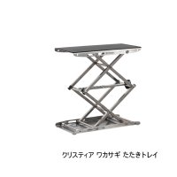 ダイワ クリスティア ワカサギ たたきトレイ