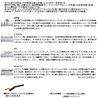 画像2: ≪'25年9月新商品！≫ ダイワ ヘラ T 13 〔仕舞寸法 111cm〕 【保証書付き】