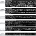 画像2: ≪'25年10月新商品！≫ ダイワ '25 ティエラ IC 150XHL-DH-C(左) 【小型商品】 (2)