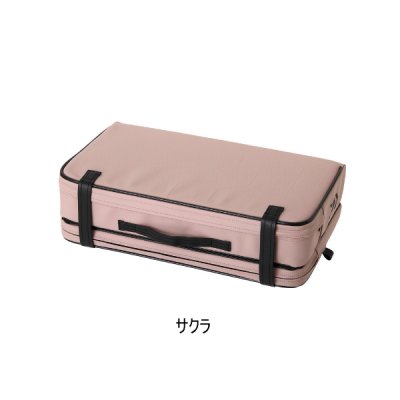 画像1: (25年10月新商品) ダイワ クッション LT (D) サクラ