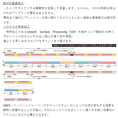 画像3: サンライン ソルティメイト アメイザー ×8 300m 6号 グリーン＆パープル＆レッド＆ブルー＆オレンジ （小型商品）