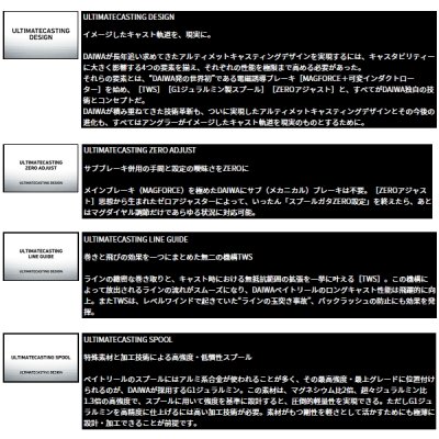 画像3: （25年12月新商品） ダイワ 26 スティーズ SV ライト TW 100XXHL（左） （小型商品）