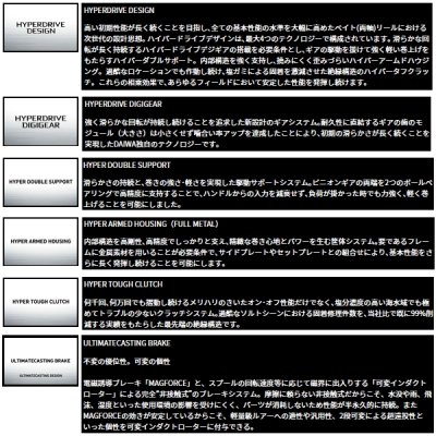 画像2: （25年12月新商品） ダイワ 26 スティーズ SV ライト TW 100XXHL（左） （小型商品）