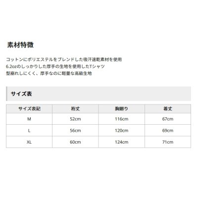 画像3: （26年4月新商品） アブガルシア スタンダード ST ロゴT ブラック Lサイズ （返品不可）