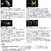 画像5: （26年2月新商品） ダイワ 26 ソルティガ 10HL-SJ（左） （小型商品） (5)