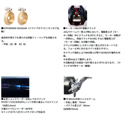 画像4: （26年4月新商品） ダイワ 26 シーボーグ 300JL（左） （小型商品）
