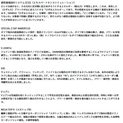 画像2: （26年2月新商品） ダイワ 銀影競技 スペシャル ショートリミテッド T 85 （仕舞寸法 153cm） （保証書付き） （大型1/代引と離島不可）