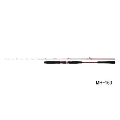 画像1: （26年3月新商品） ダイワ アナリスター ビシアジ M-195・J （仕舞寸法 139cm） （保証書付き）