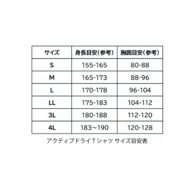 画像3: （26年5月新商品） 釣武者 アクティブドライTシャツ ブラック 3Lサイズ